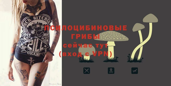 гашик Алзамай