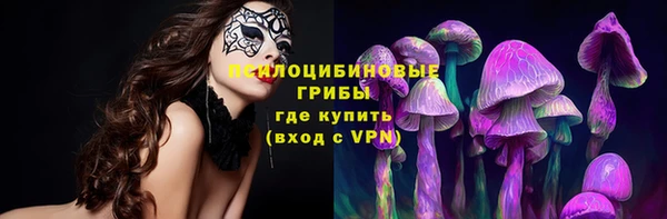 прущий лед Алексеевка