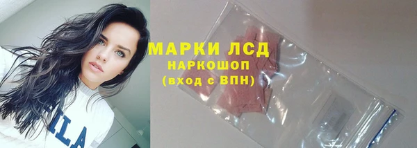 гашик Алзамай