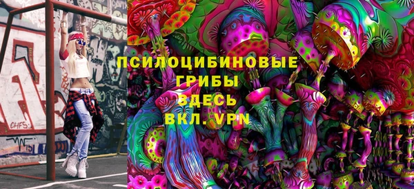 гидра Абаза