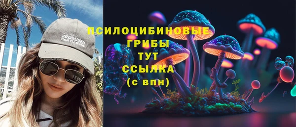 амф Алексин